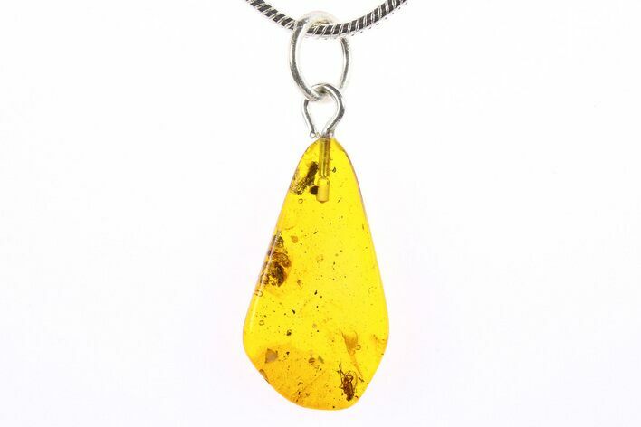 Polished Baltic Amber Pendant (Necklace) - Contains Fly! #273757